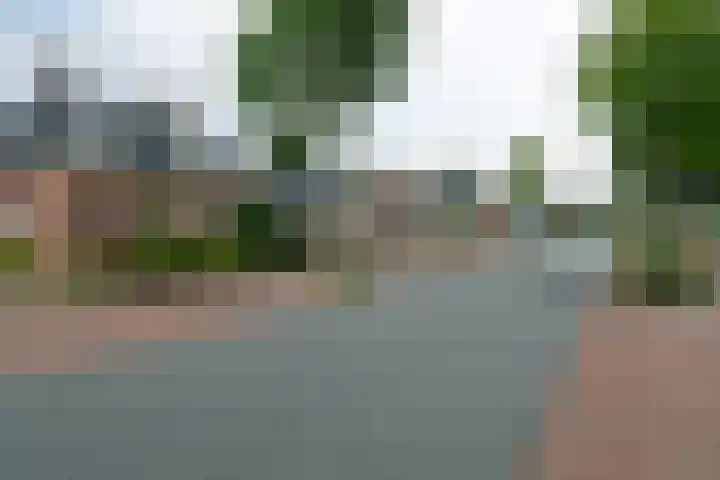 Haadwei 132 Damwâld thumbnail 6