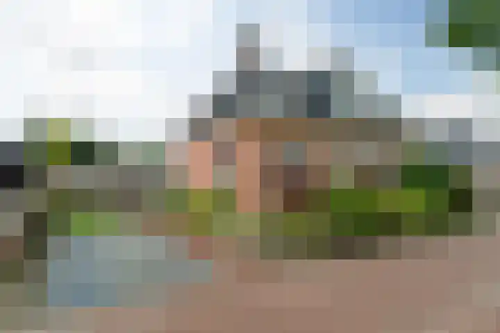 Haadwei 132 Damwâld thumbnail 7
