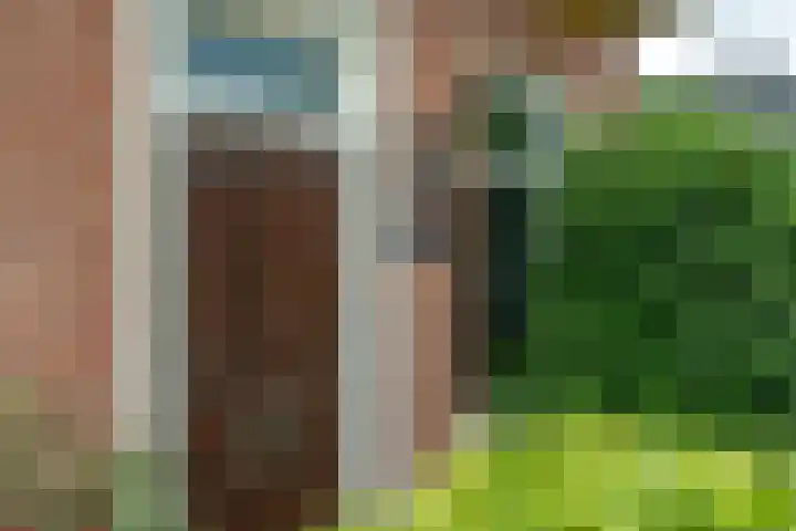Haadwei 132 Damwâld thumbnail 8