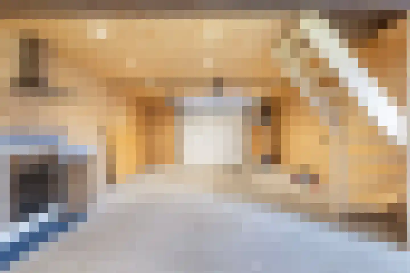 Haadwei 146 a Damwâld thumbnail 33