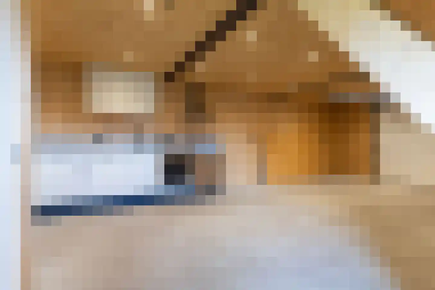 Haadwei 146 a Damwâld thumbnail 34