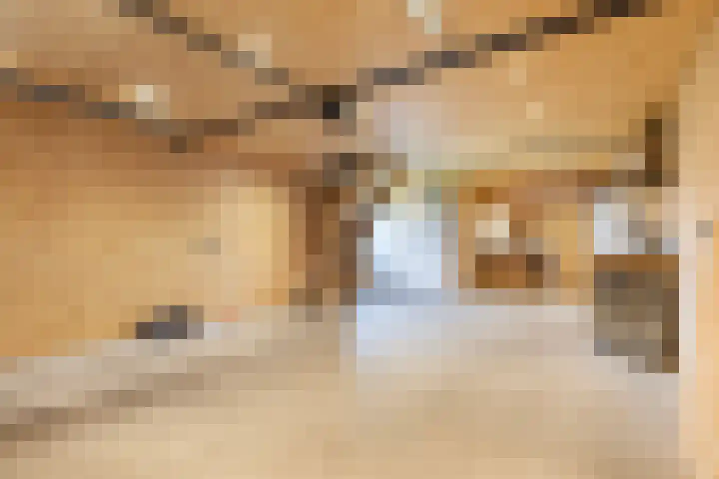 Haadwei 146 a Damwâld thumbnail 35