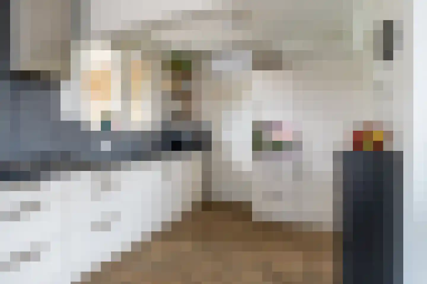 Haadwei 160 a Damwâld thumbnail 14