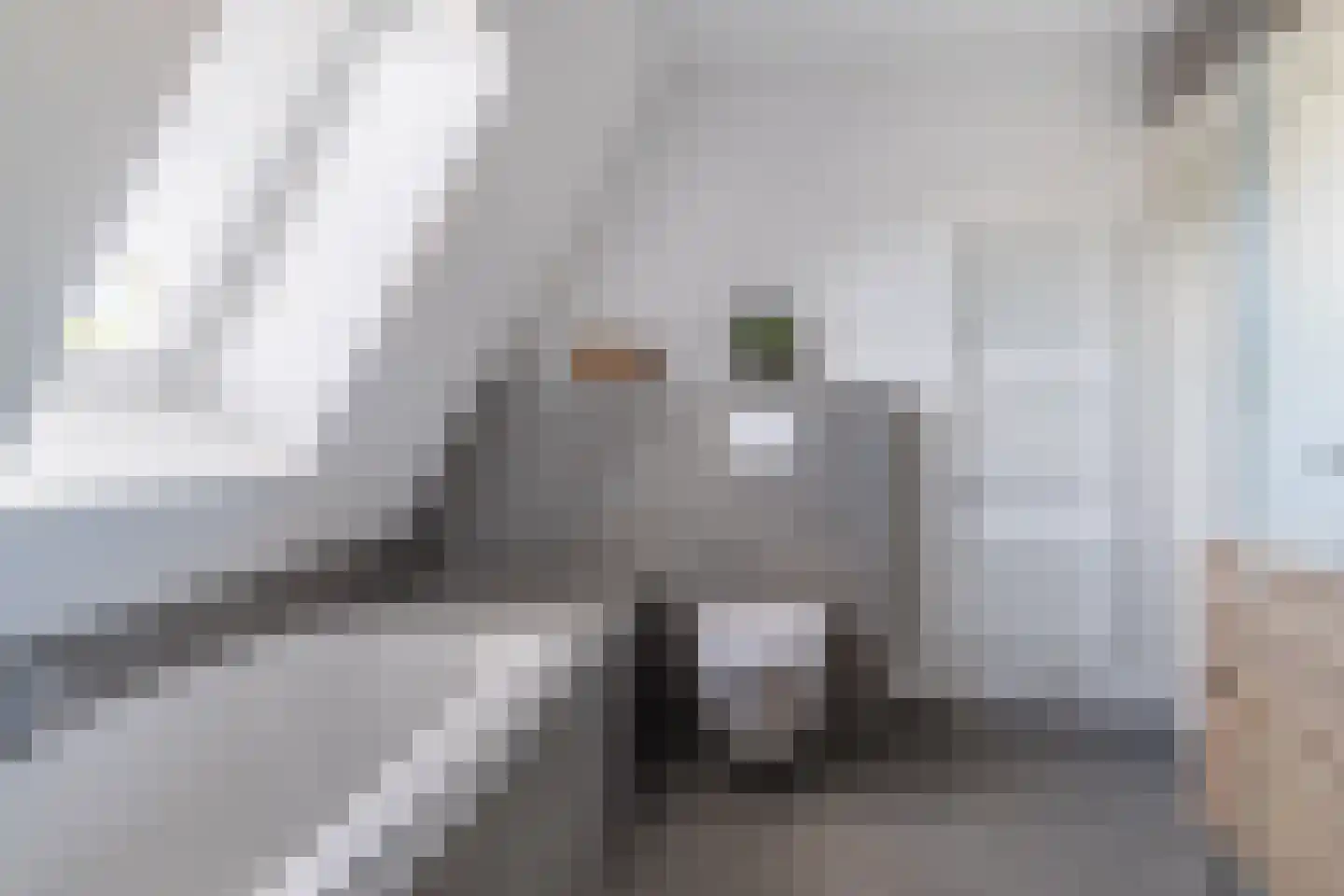 Haadwei 160 a Damwâld thumbnail 35