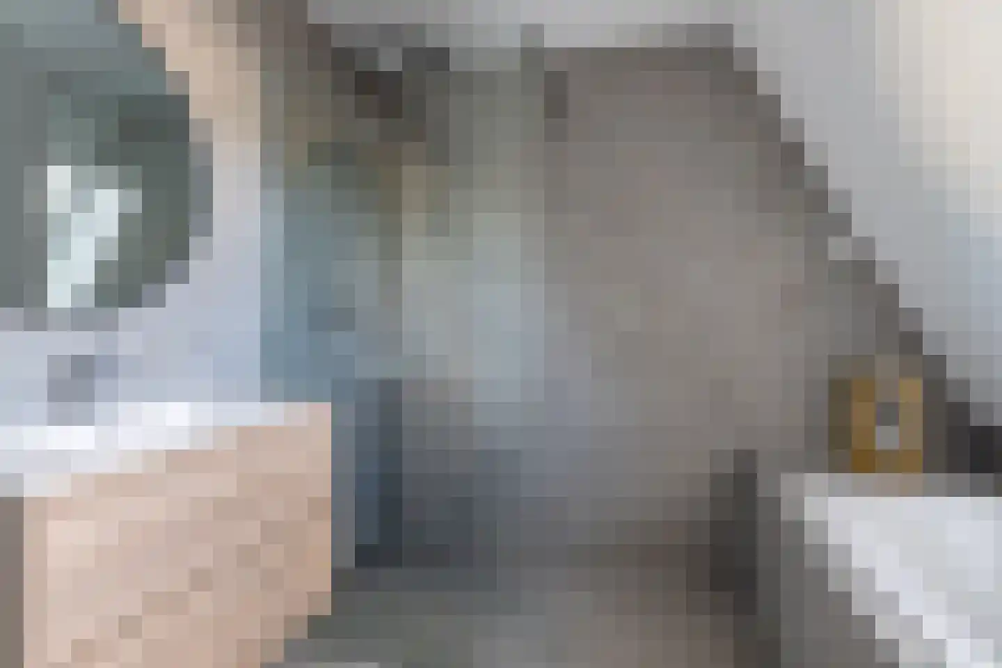 Haadwei 160 a Damwâld thumbnail 36