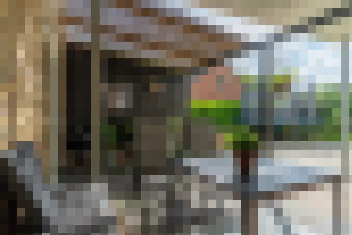 Haadwei 160 a Damwâld thumbnail 38