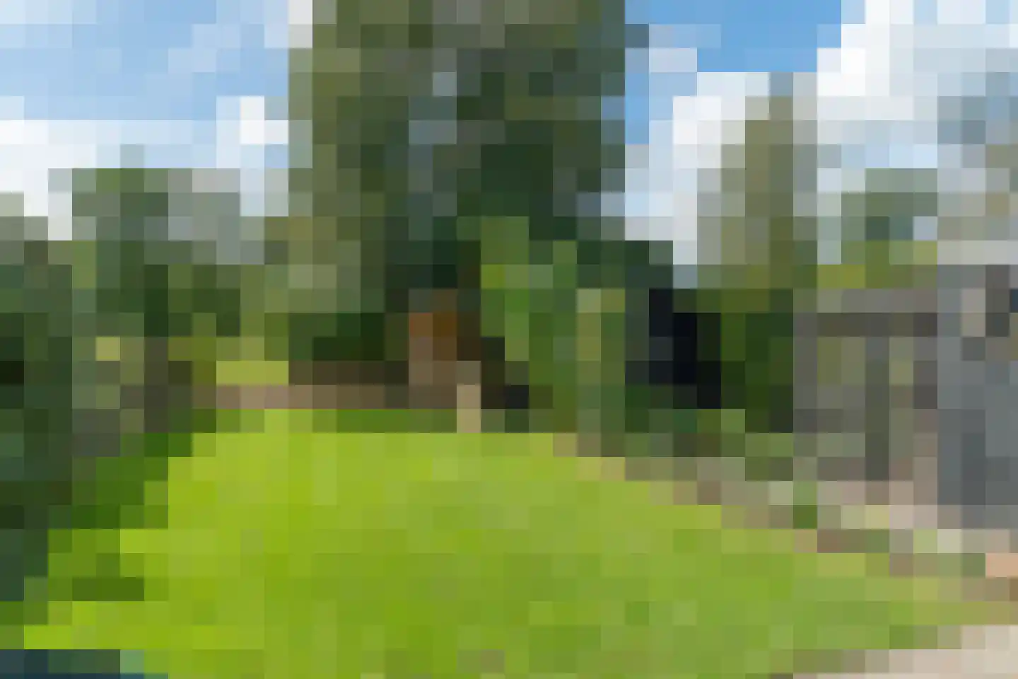 Haadwei 160 a Damwâld thumbnail 40
