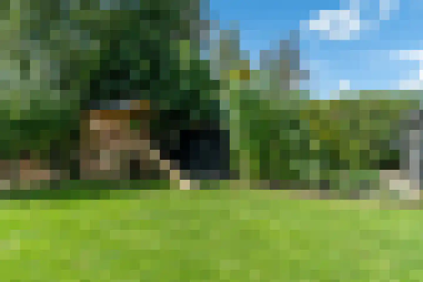 Haadwei 160 a Damwâld thumbnail 42