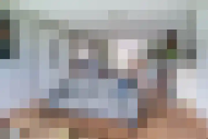 Haadwei 2 Damwâld thumbnail 17