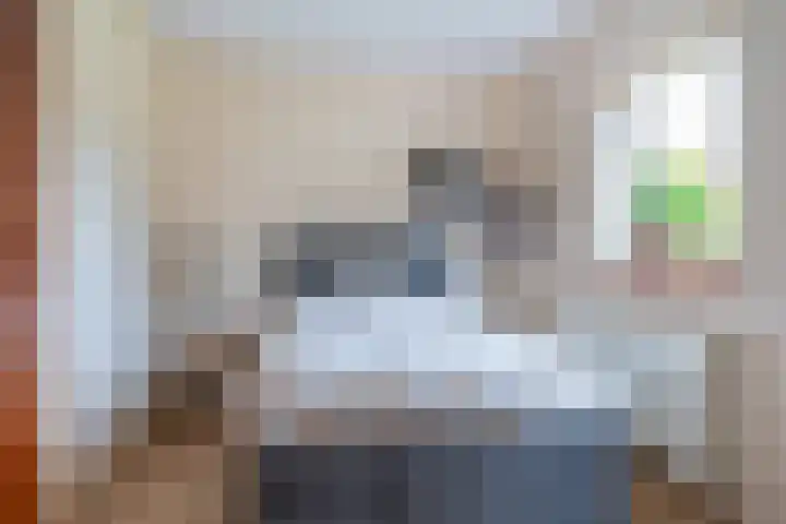 Haadwei 2 Damwâld thumbnail 21