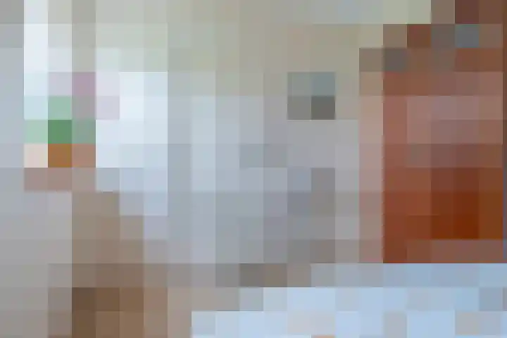 Haadwei 2 Damwâld thumbnail 22