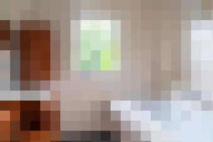 Haadwei 2 Damwâld thumbnail 23