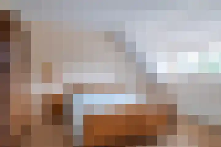 Haadwei 2 Damwâld thumbnail 32
