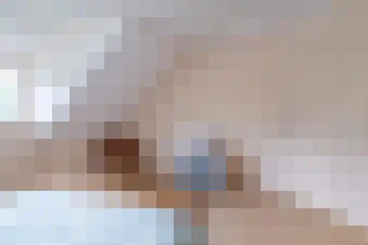 Haadwei 2 Damwâld thumbnail 33