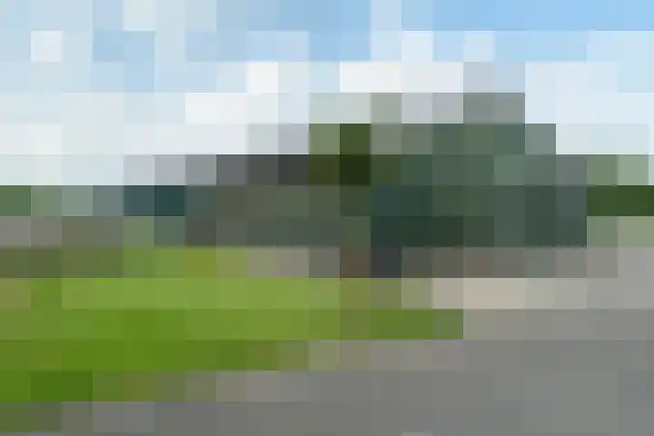 Haadwei 2 Damwâld thumbnail 36