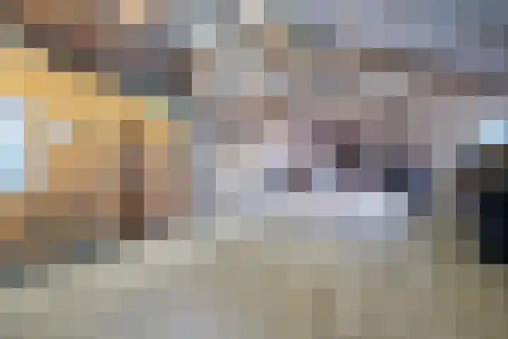 Haadwei 2 Damwâld thumbnail 38