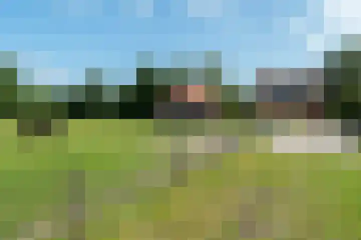 Haadwei 2 Damwâld thumbnail 45