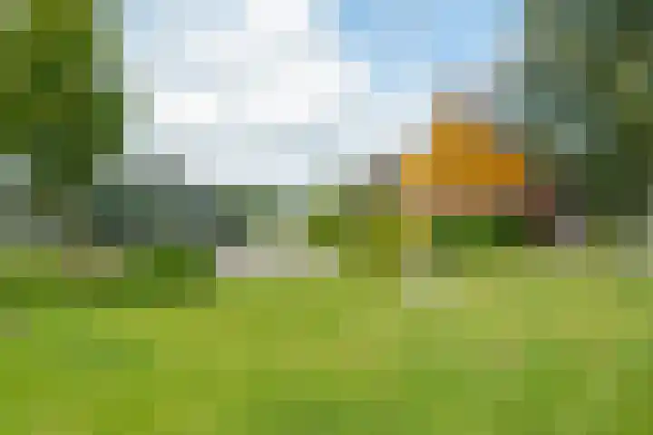 Haadwei 2 Damwâld thumbnail 7