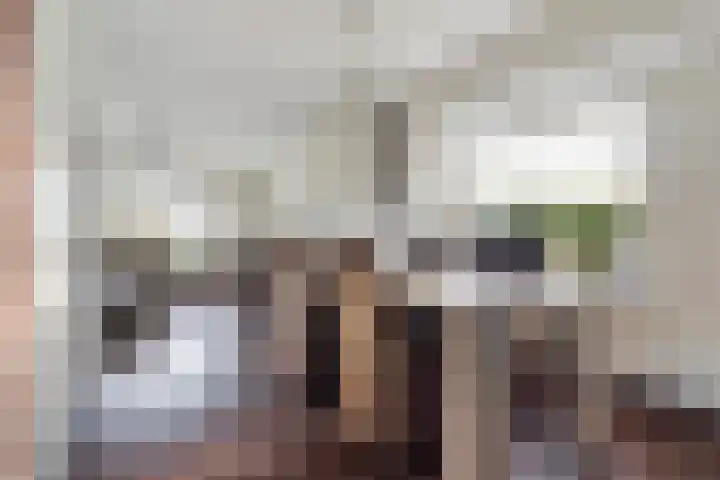 Haadwei 28 Broeksterwâld thumbnail 16