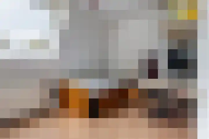 Haadwei 28 Broeksterwâld thumbnail 27