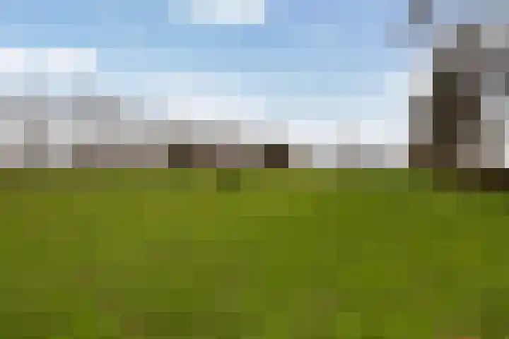 Haadwei 28 Broeksterwâld foto 3