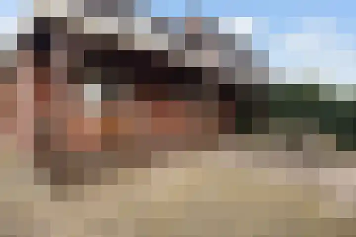 Haadwei 28 Broeksterwâld thumbnail 37