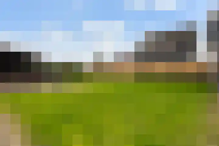 Haadwei 28 Broeksterwâld thumbnail 39