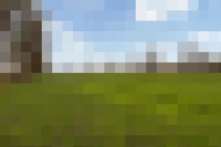 Haadwei 28 Broeksterwâld thumbnail 51