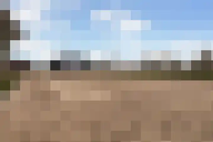 Haadwei 28 Broeksterwâld thumbnail 52
