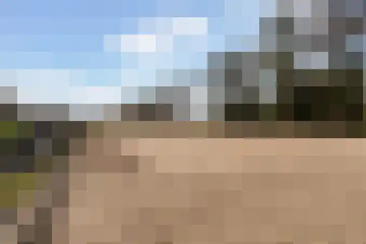 Haadwei 28 Broeksterwâld thumbnail 53