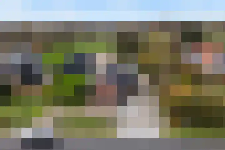 Haadwei 28 Broeksterwâld thumbnail 54