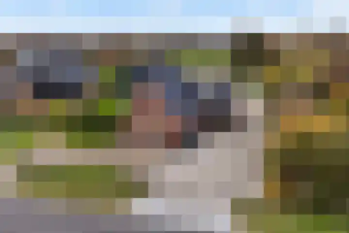 Haadwei 28 Broeksterwâld thumbnail 55