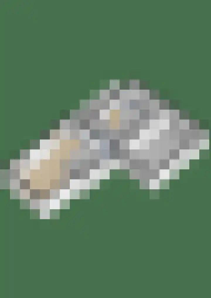 Haadwei 28 Broeksterwâld thumbnail 64