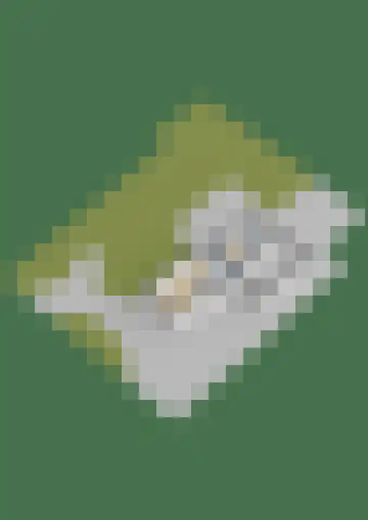 Haadwei 28 Broeksterwâld thumbnail 69