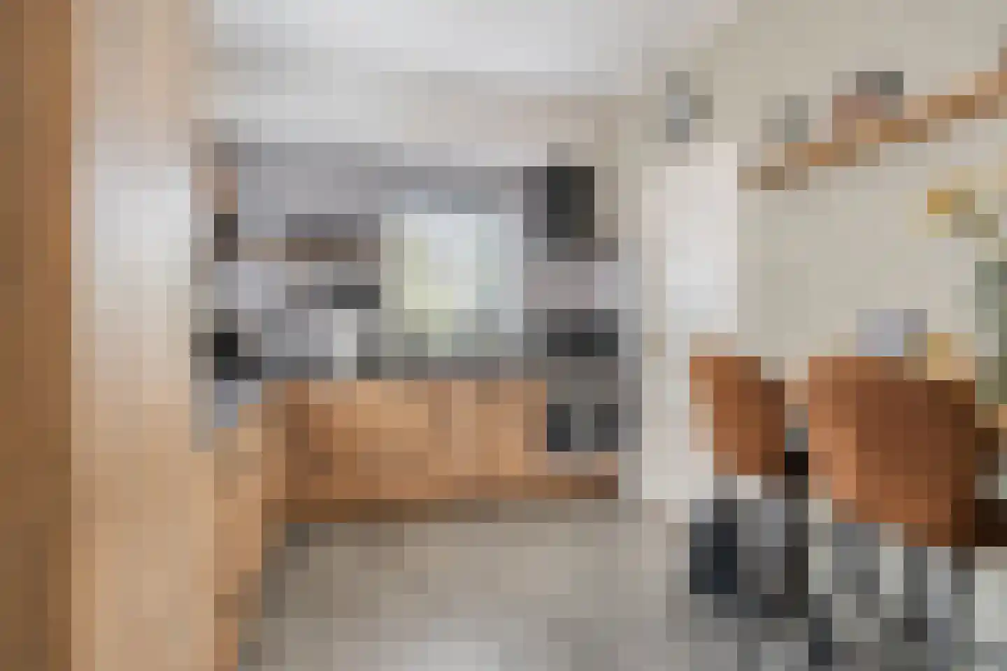 Haadwei 68 Damwâld thumbnail 10