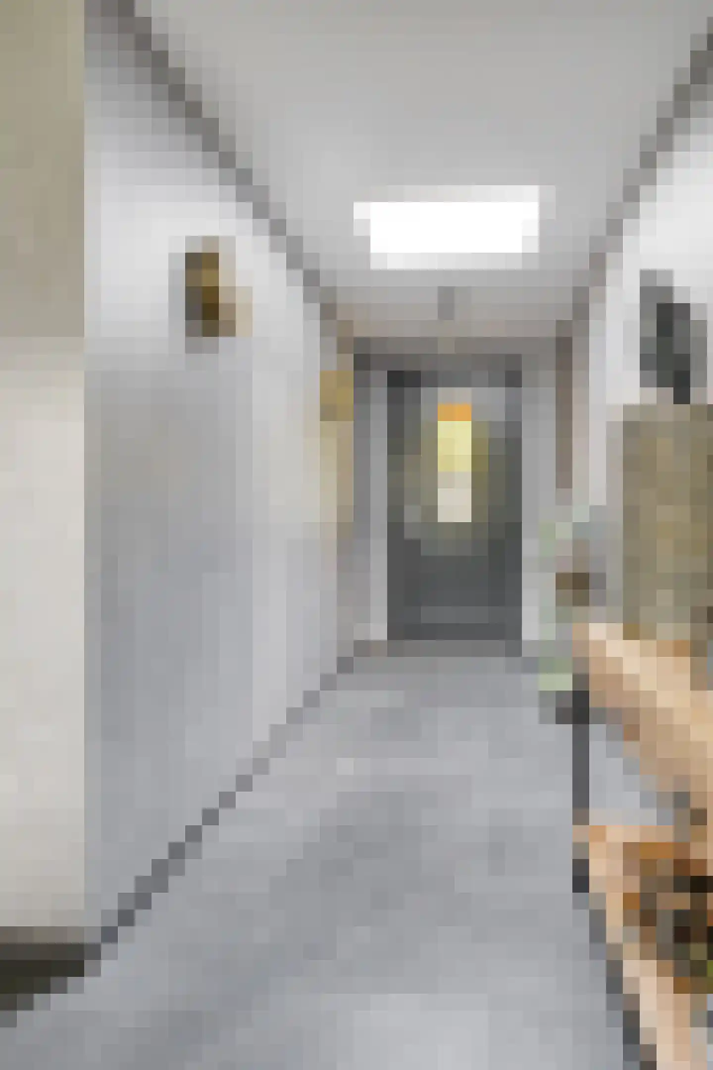 Haadwei 68 Damwâld thumbnail 14
