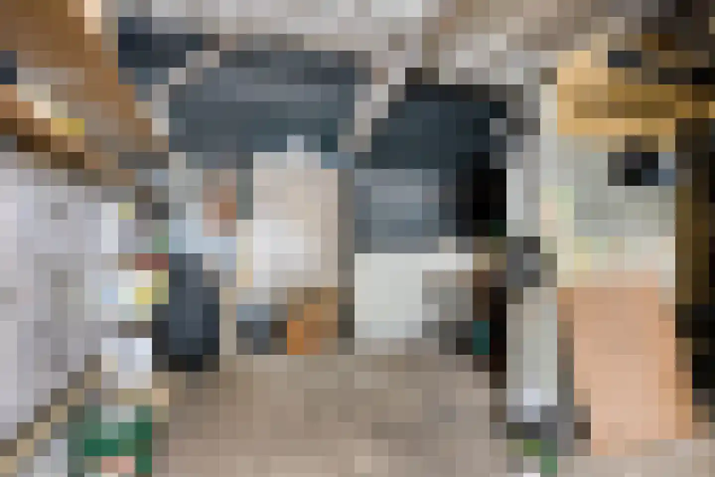 Haadwei 68 Damwâld thumbnail 29