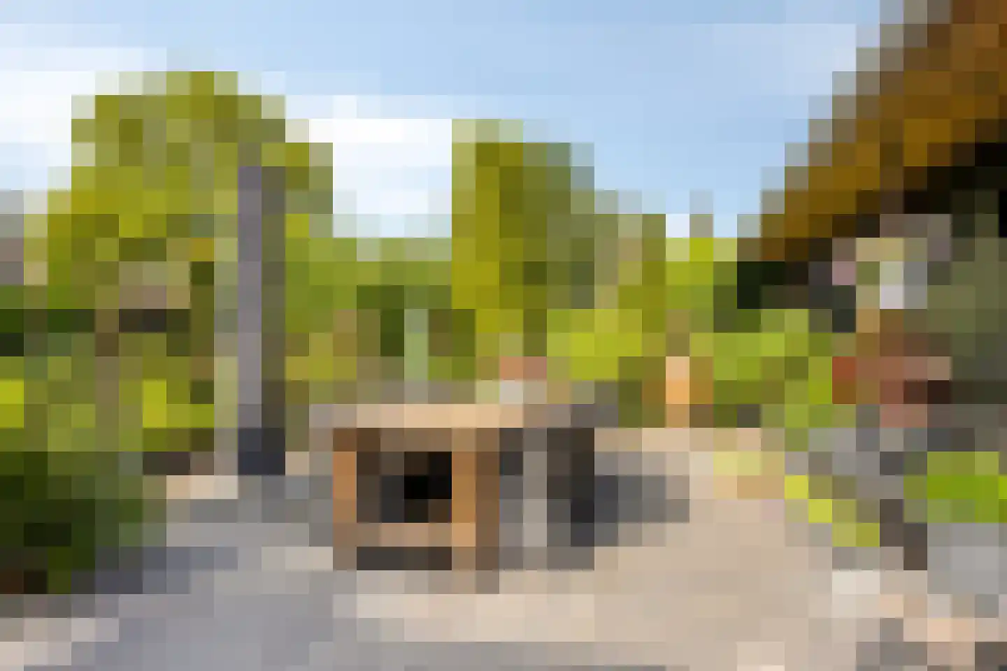 Haadwei 68 Damwâld thumbnail 4