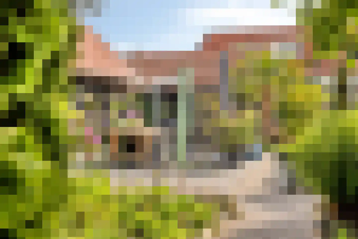 Haadwei 68 Damwâld thumbnail 41