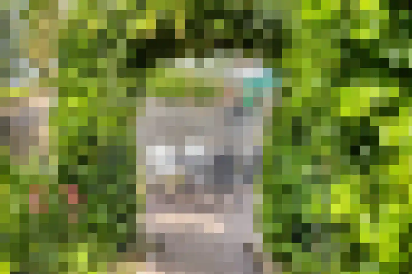 Haadwei 68 Damwâld thumbnail 44