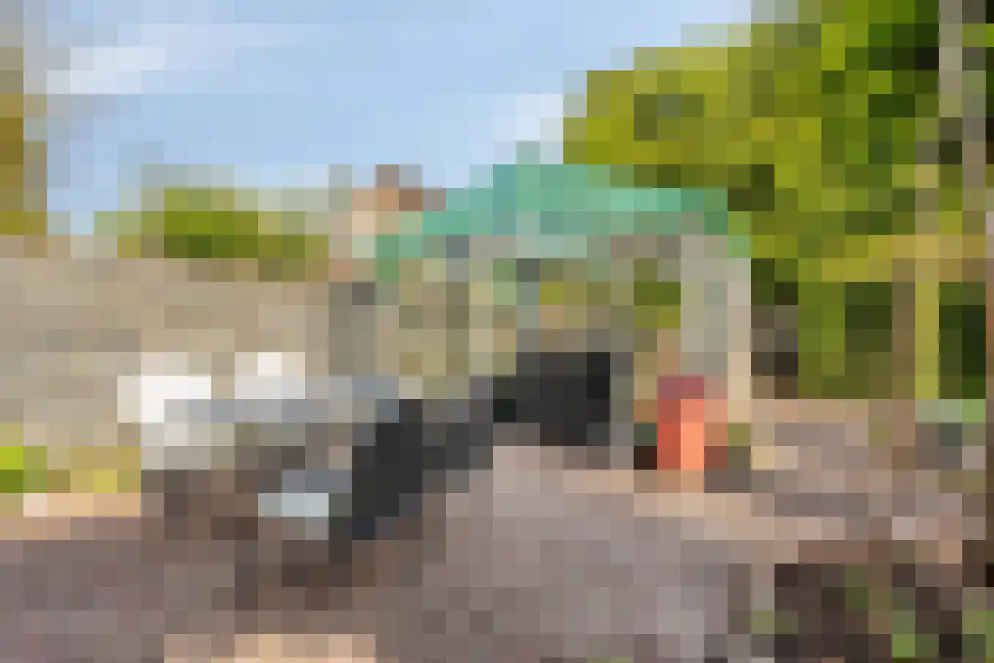 Haadwei 68 Damwâld thumbnail 45