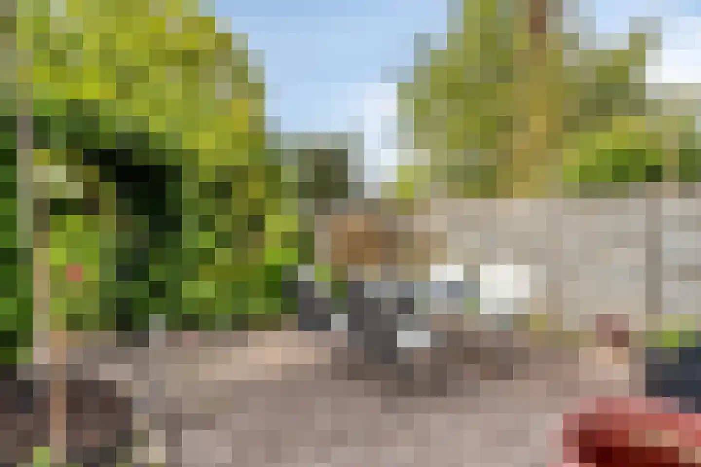 Haadwei 68 Damwâld thumbnail 46