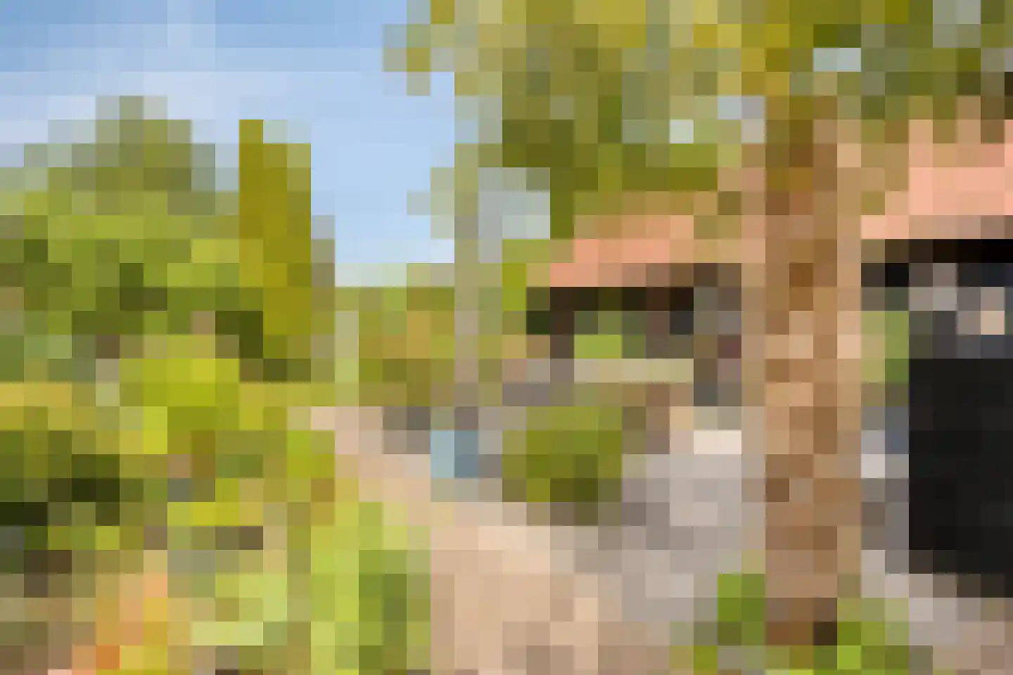 Haadwei 68 Damwâld thumbnail 47
