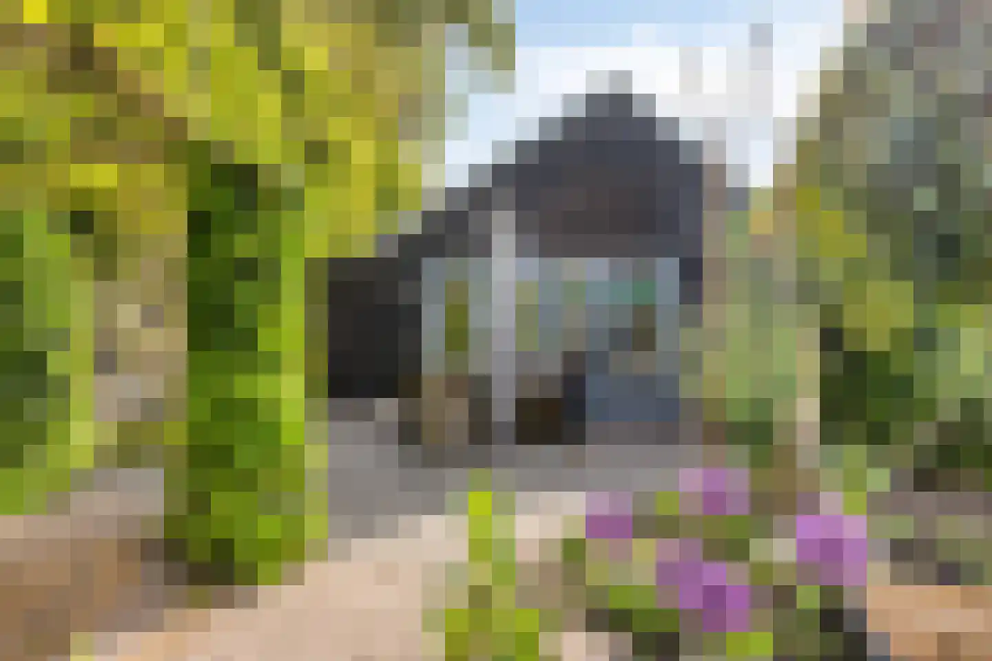 Haadwei 68 Damwâld thumbnail 48