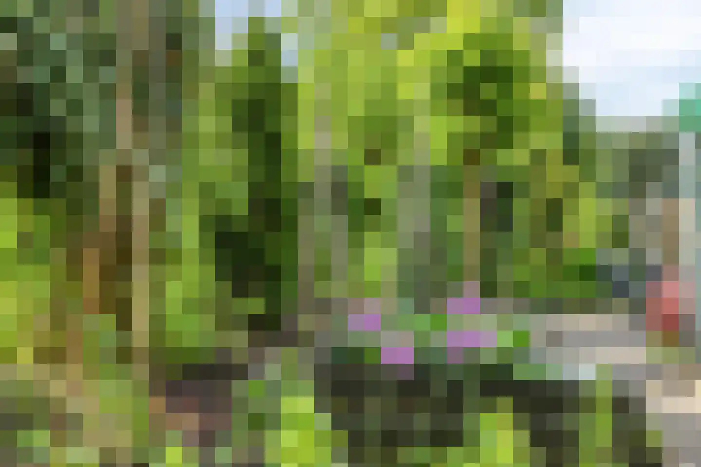 Haadwei 68 Damwâld thumbnail 52
