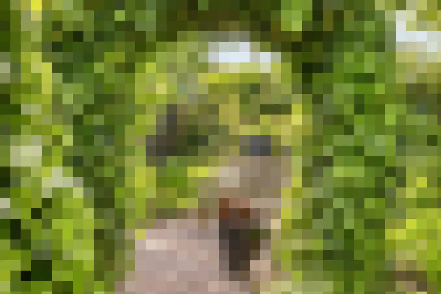Haadwei 68 Damwâld thumbnail 53