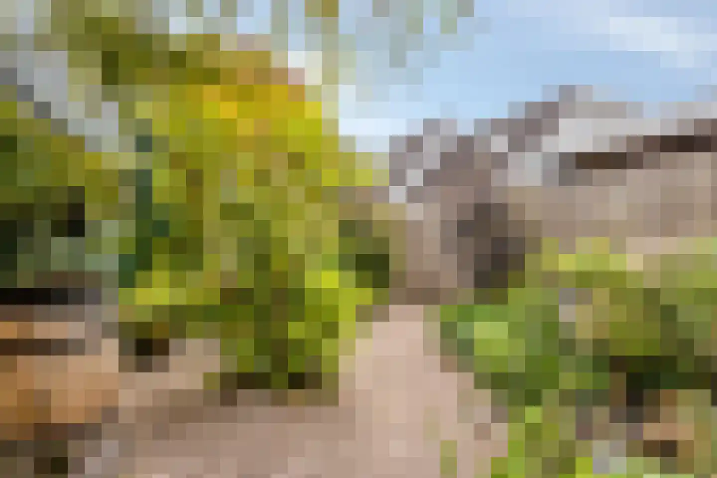 Haadwei 68 Damwâld thumbnail 55