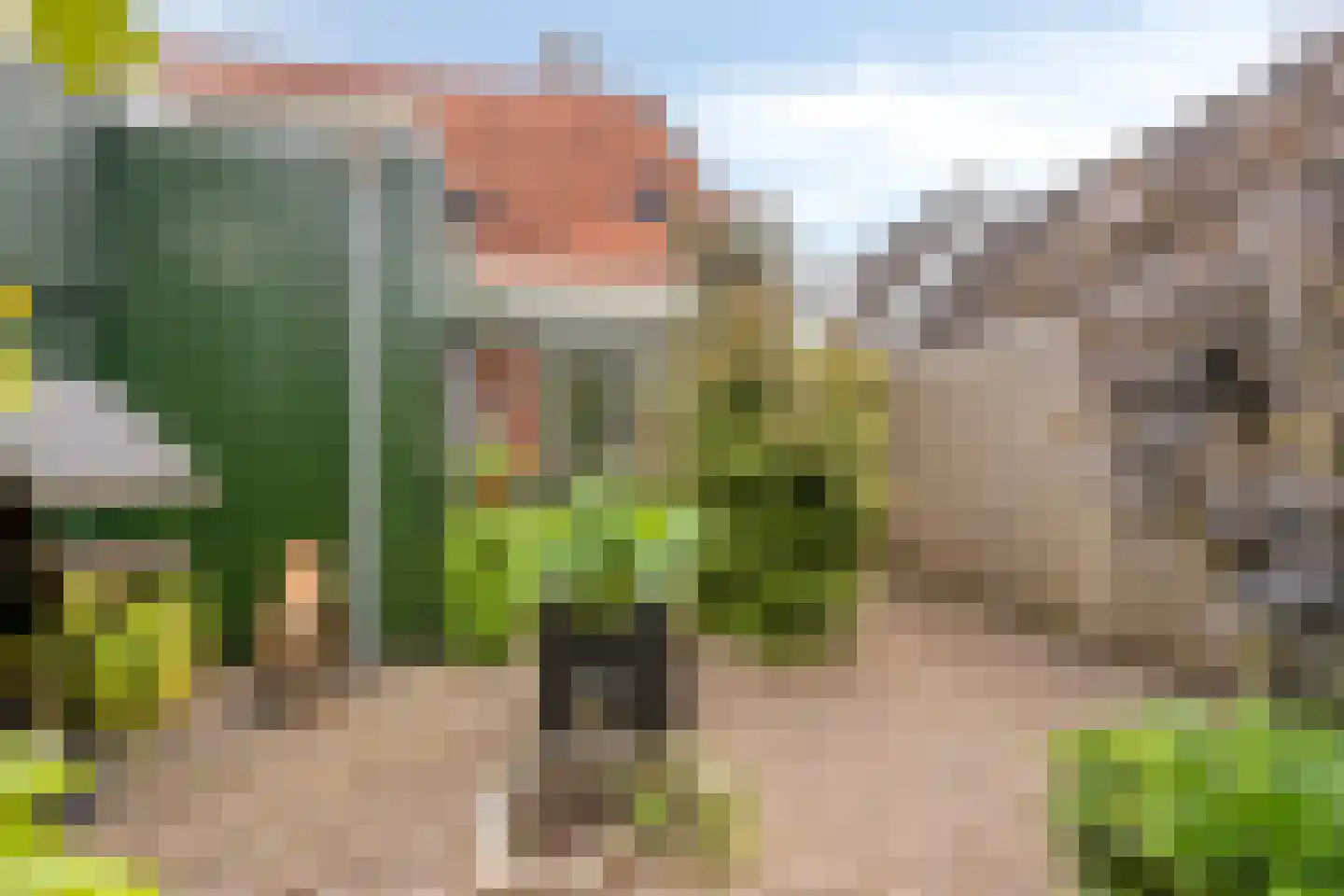 Haadwei 68 Damwâld thumbnail 56