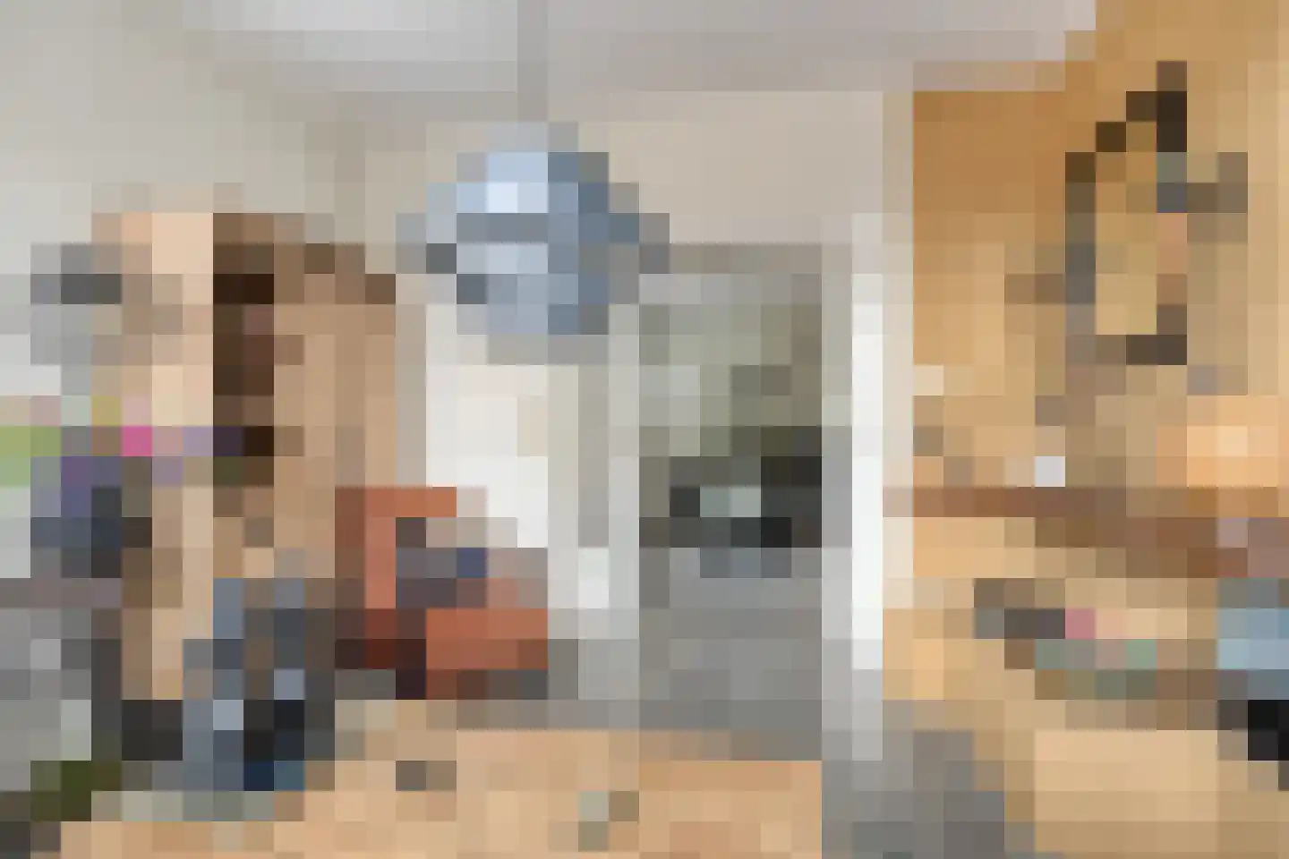 Haadwei 68 Damwâld thumbnail 6