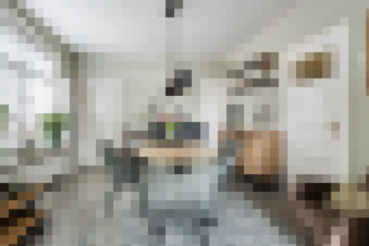 Haadwei 68 Damwâld thumbnail 8